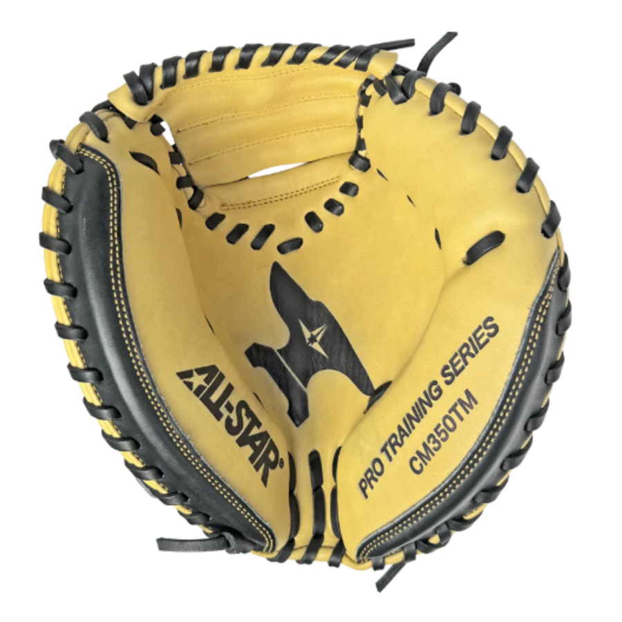 Mini Anvil Training Mitt 29 in