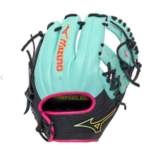 GPS-40RDC Pro Select Dynacage 11.5 in 