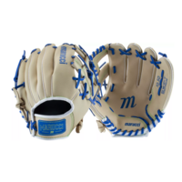 Swift Series 10.5 in
