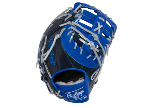 Pro Preferred 13 in Vladimir Guerrero JR Gameday Pattern 