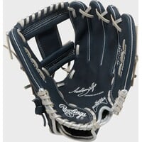 Sure Catch Anthony Volpe 11.5 in