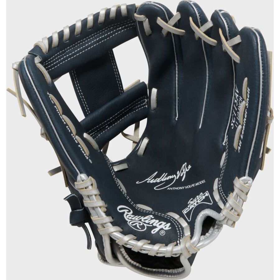 Sure Catch Anthony Volpe 11.5 in