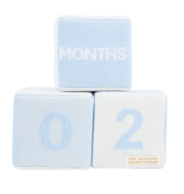 The Beaufort Bonnet Company Baylock Blocks The Beaufort Bonnet Company Baylock Blocks