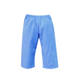 Remember Nguyen Blue Gingham Jackson Pant