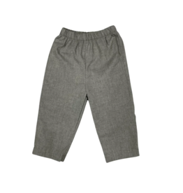 Anavini Dinosaurs Grey Solid Pants - 3T