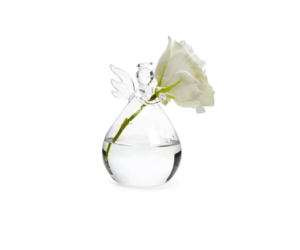 Bud Vase (Set of 3) - Angel's Dream - De Novo Floral Design