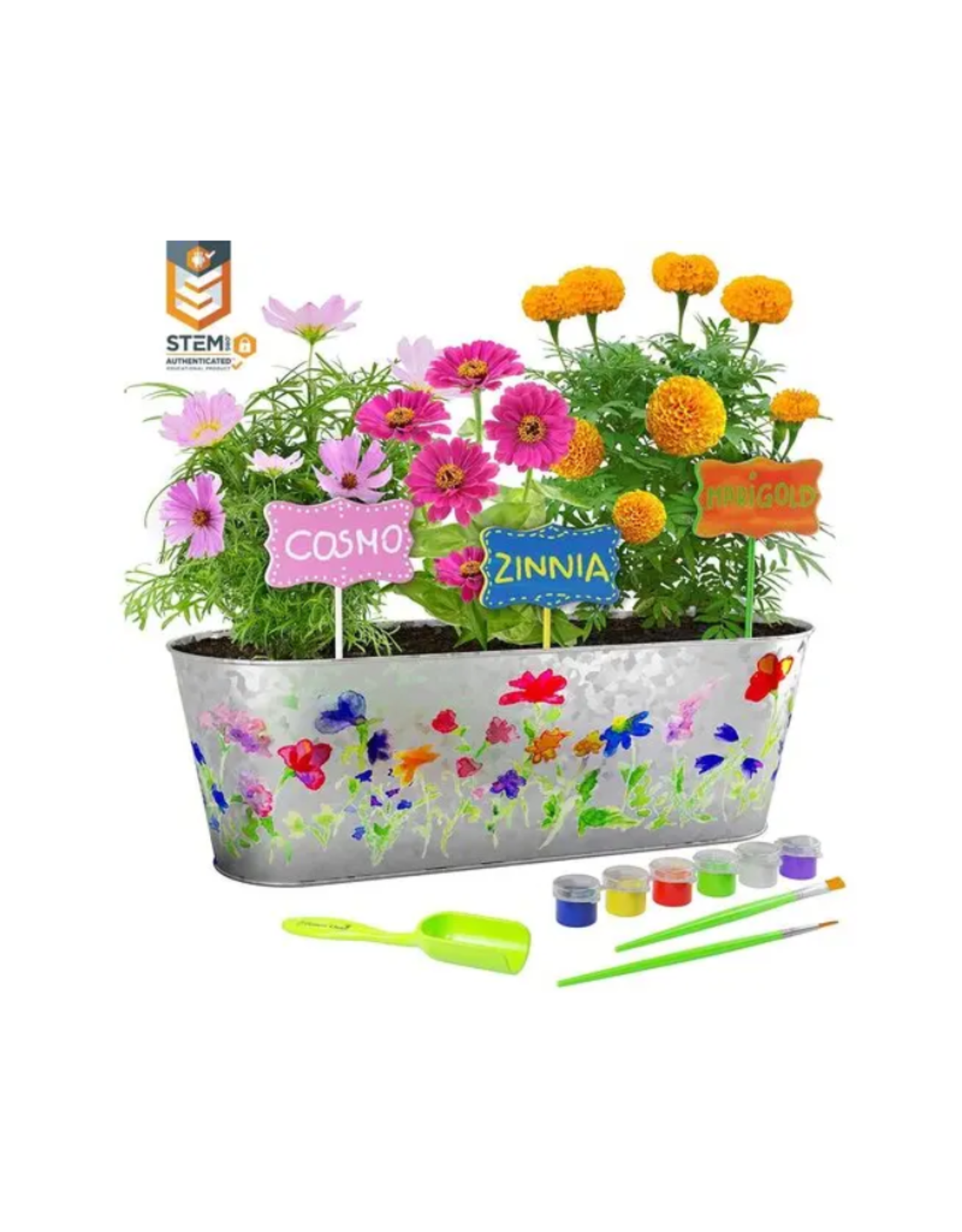 Paint And Plant Flower Growing Kit