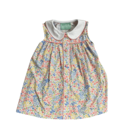 Sage and Lilly Pink & Blue Floral Button Dress