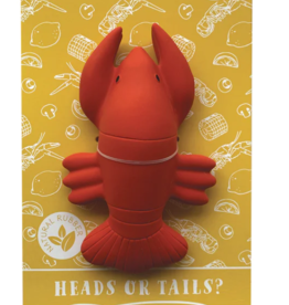 Nola Tawk Teether & Bath Toy: Heads or Tails?