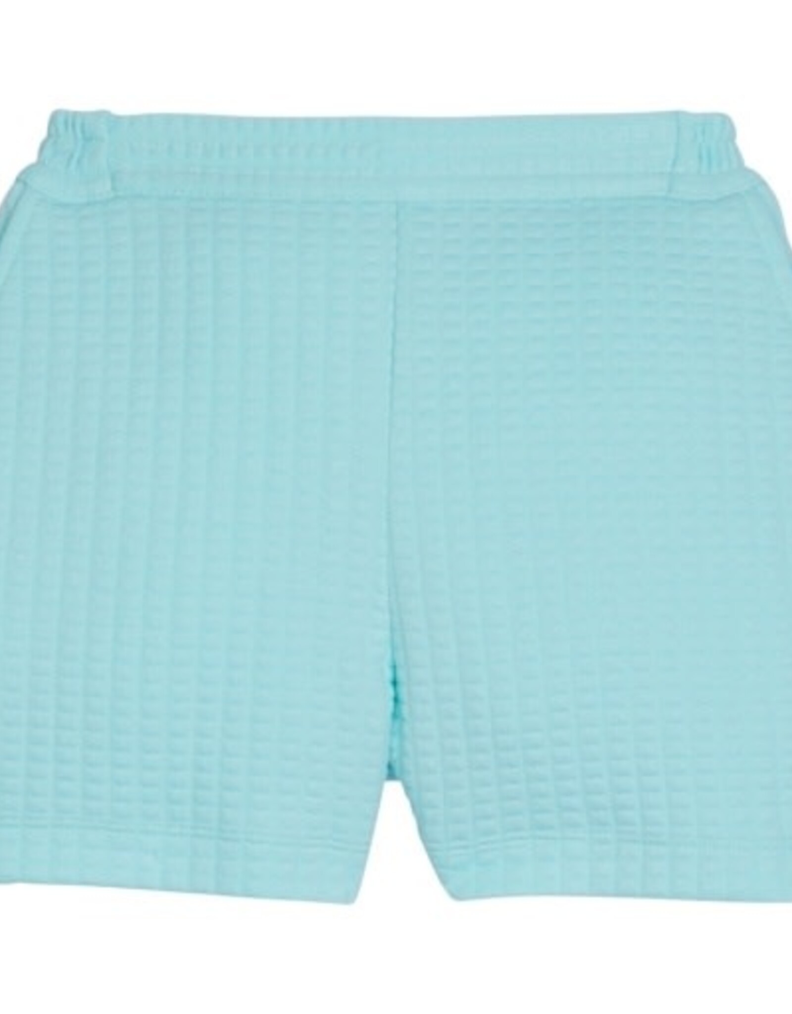 Bisby Basic Shorts, Aqua