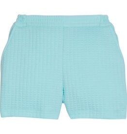 Bisby Basic Shorts, Aqua