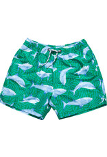 Snapper Rock Green Reef Shark Swim Shorts