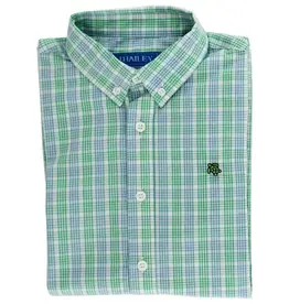 The Bailey Boys Button Down, Dover