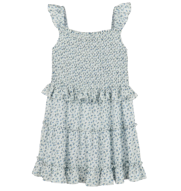 Gabby The Kate Shirred Dress, Blue