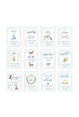 Over The Moon Monthly Milestone Card Set - Blue