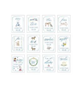 Over The Moon Monthly Milestone Card Set - Blue