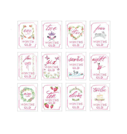 Over The Moon Monthly Milestone Card Set - Pink