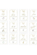 Over The Moon Monthly Milestone Card Set - Ivory