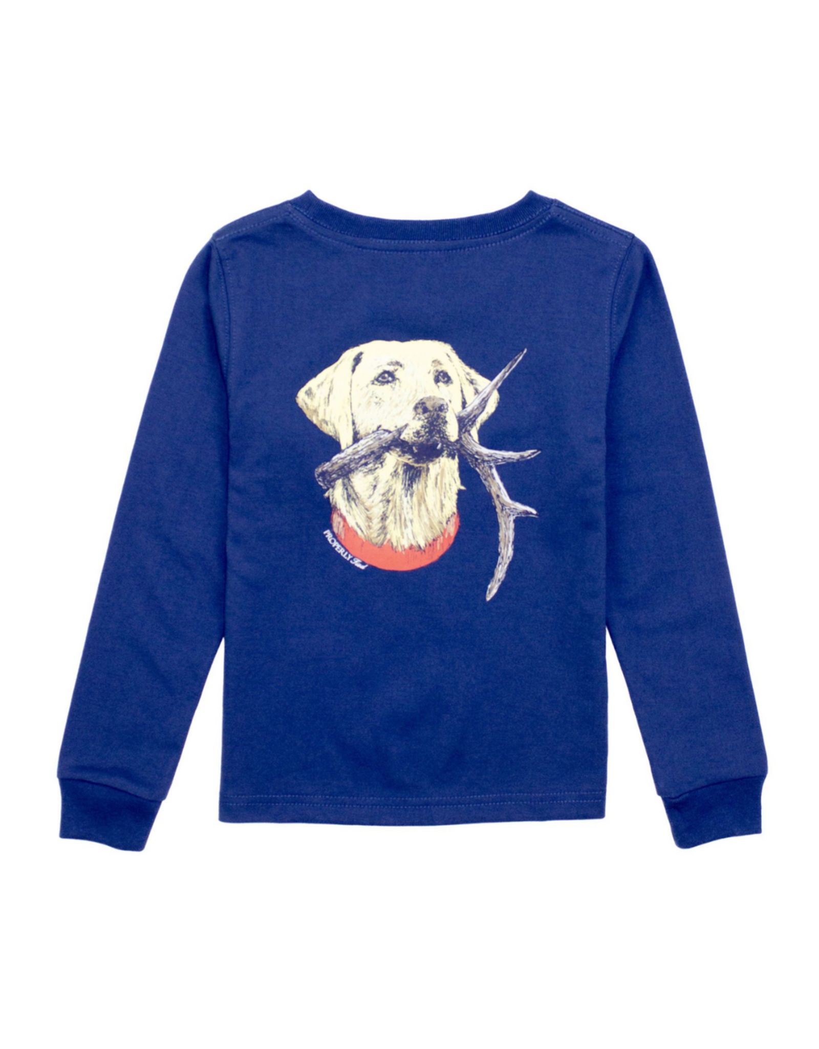 Properly Tied Antler Lab LS River Blue