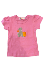 Luigi Pink Top, Lab, Pumpkins and Leaves