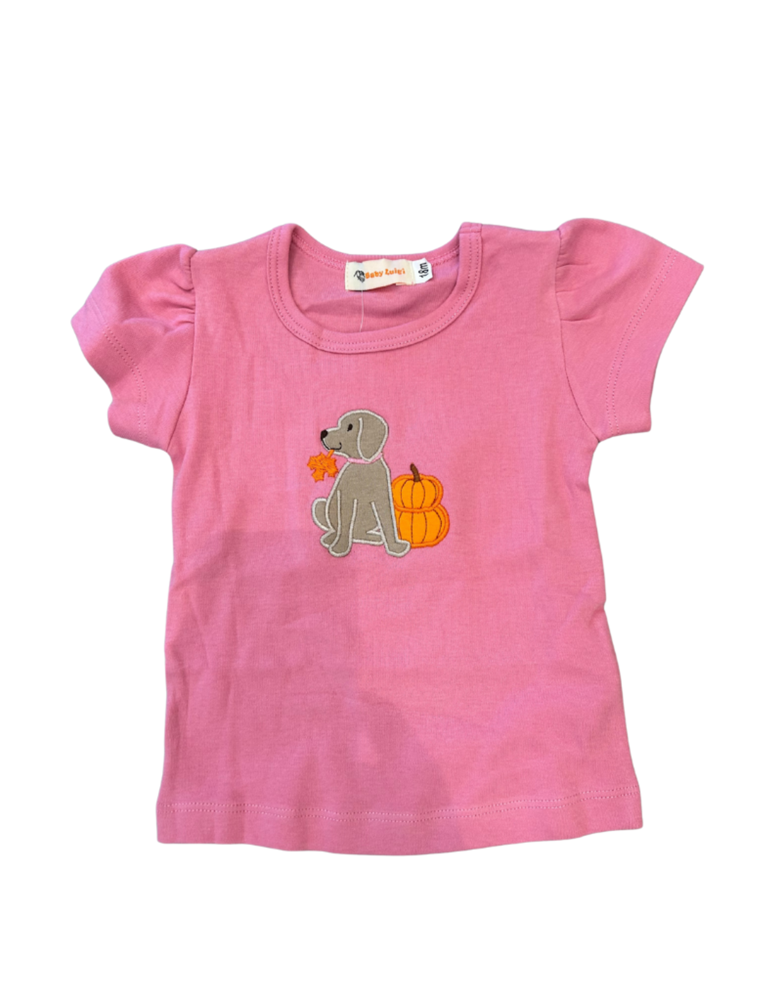 Luigi Pink Top, Lab, Pumpkins and Leaves
