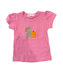 Luigi Pink Top, Lab, Pumpkins and Leaves