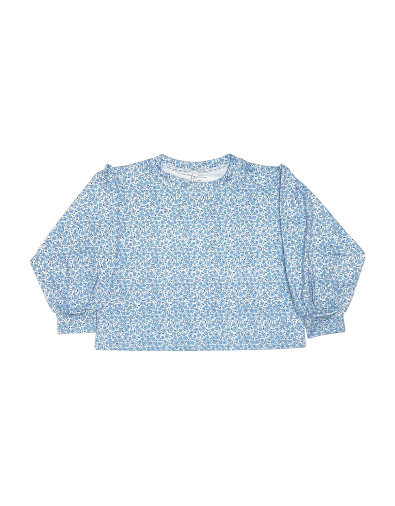 Honesty Mini Blue Floral LS Box Top