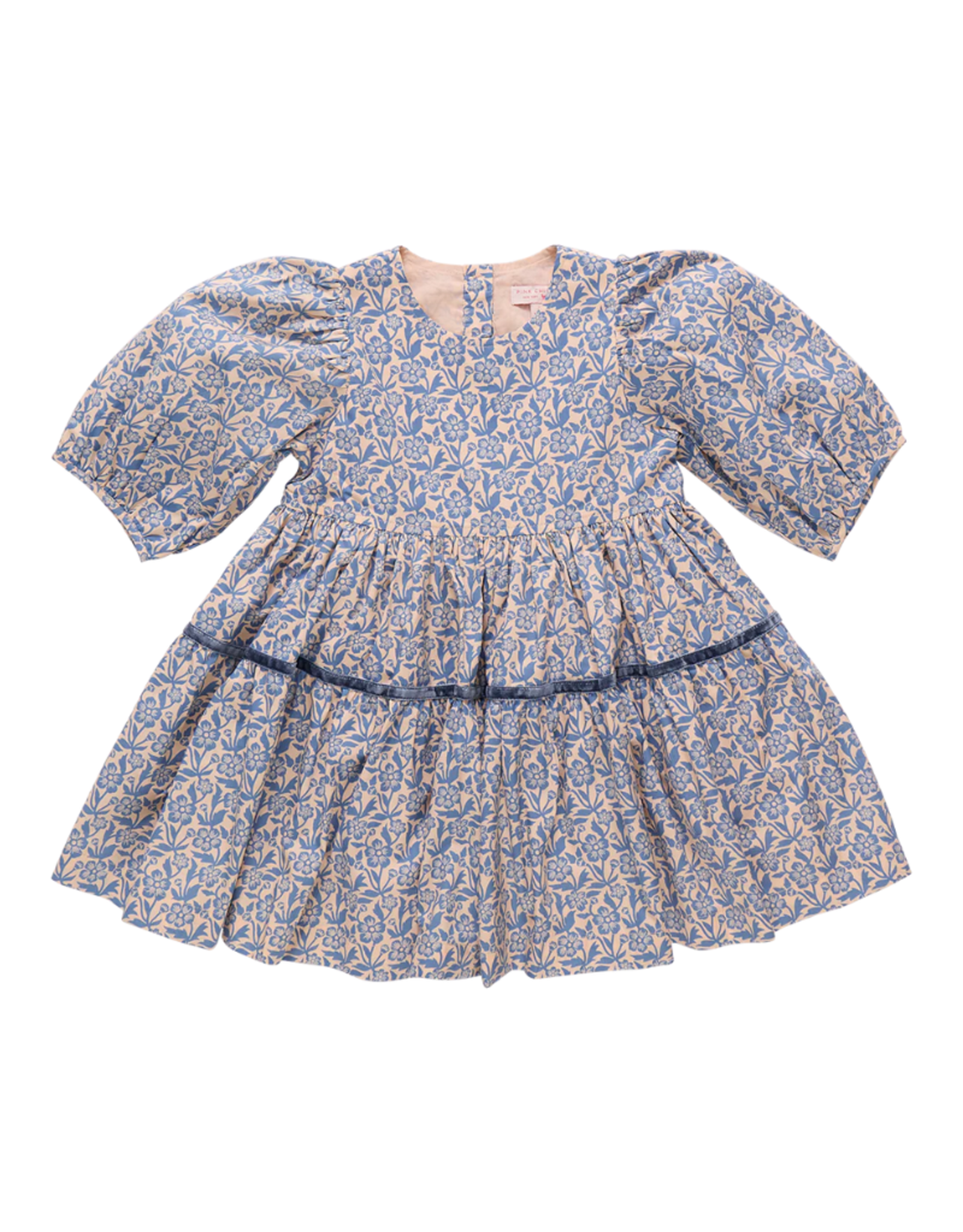 Pink Chicken Maribelle Dress, Blue Climbing Floral