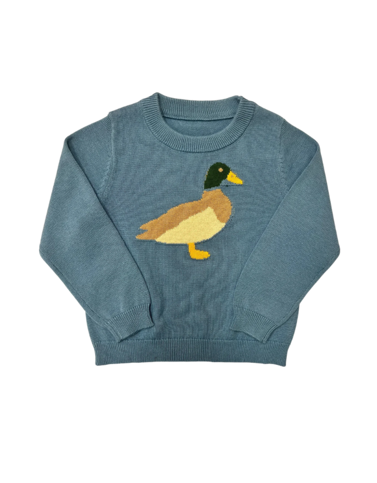 Sage and Lilly Duck Sweater