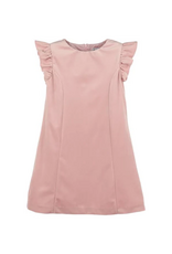 Luli & Me Deluxe Velvet Shift Dress, Rose