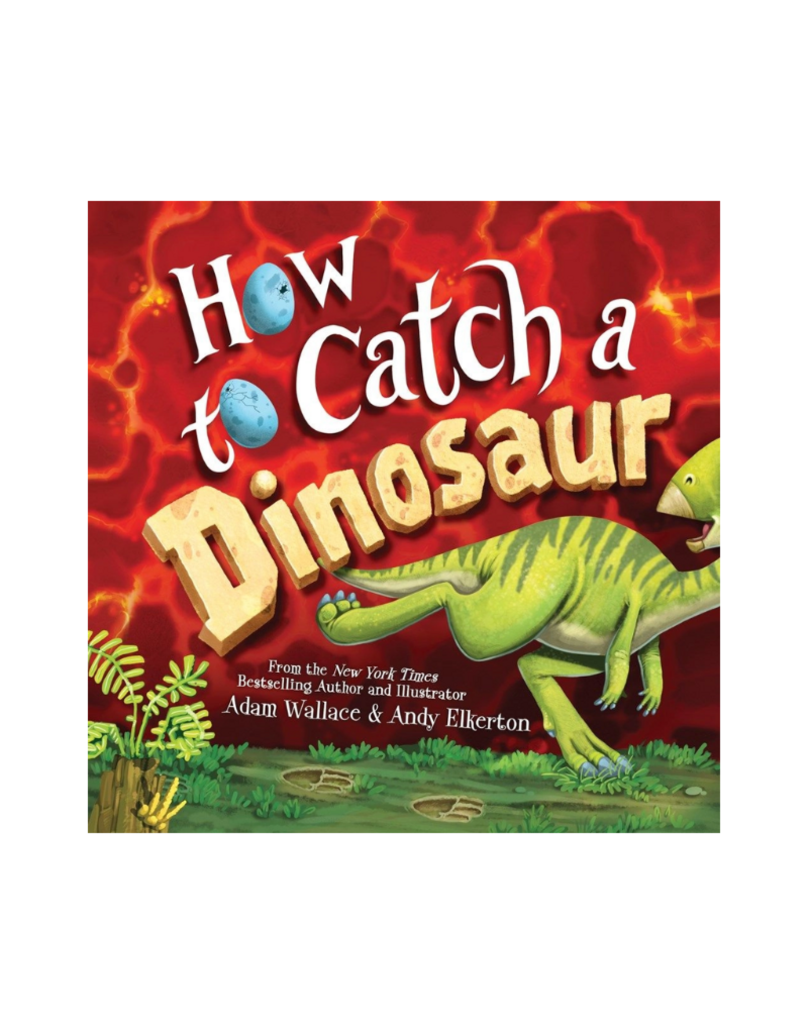 Sourcebooks How To Catch A Dinsoaur