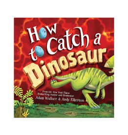 Sourcebooks How To Catch A Dinsoaur