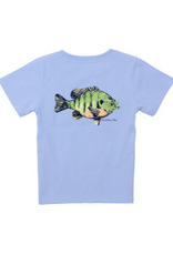 Properly Tied Blue Gill SS Light Blue