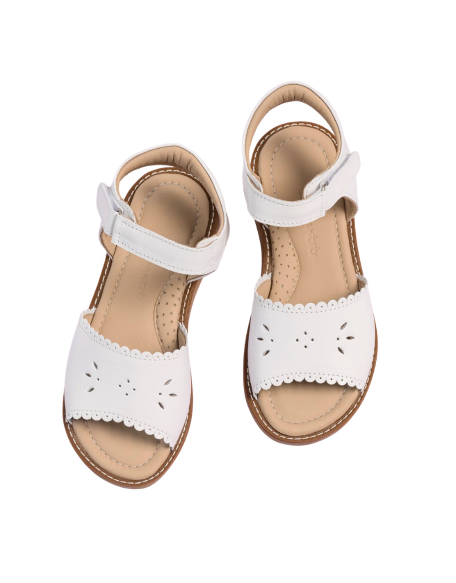 Elephantito Classic Sandal with Scallop White