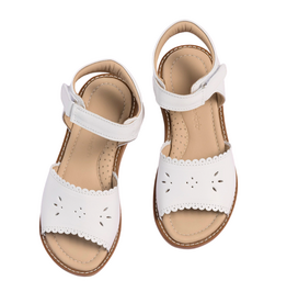 Elephantito Classic Sandal with Scallop White