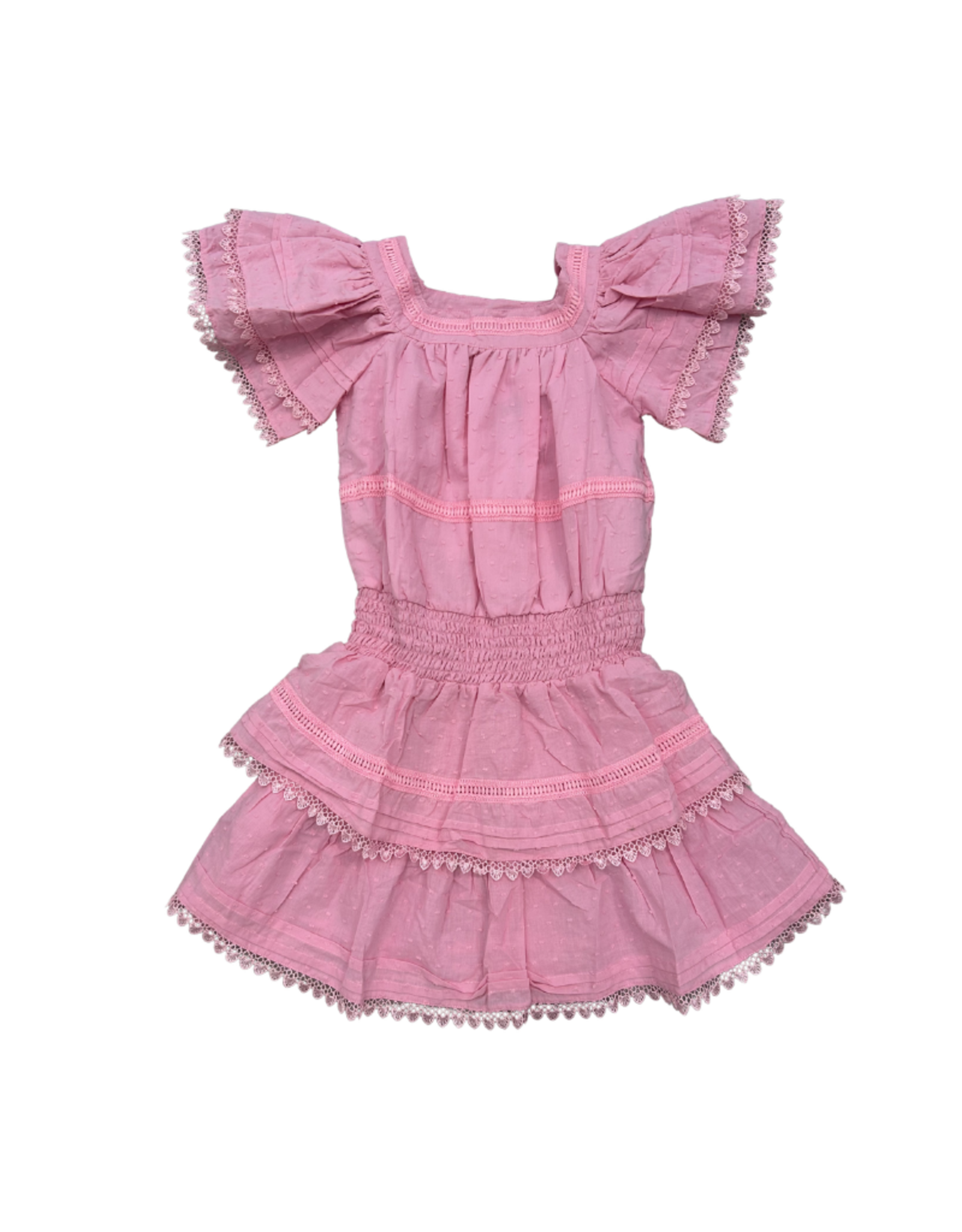 Joyous and Free Jewel Dress, Pink Swiss Dot