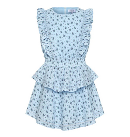 Pleat Gigi Dress, Boho Blooms