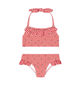 Minnow Floral Gingham Halter Scoop Neck Bikini