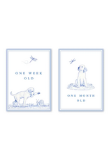 Dogwood Hill Snips and Snails Milestone Cards