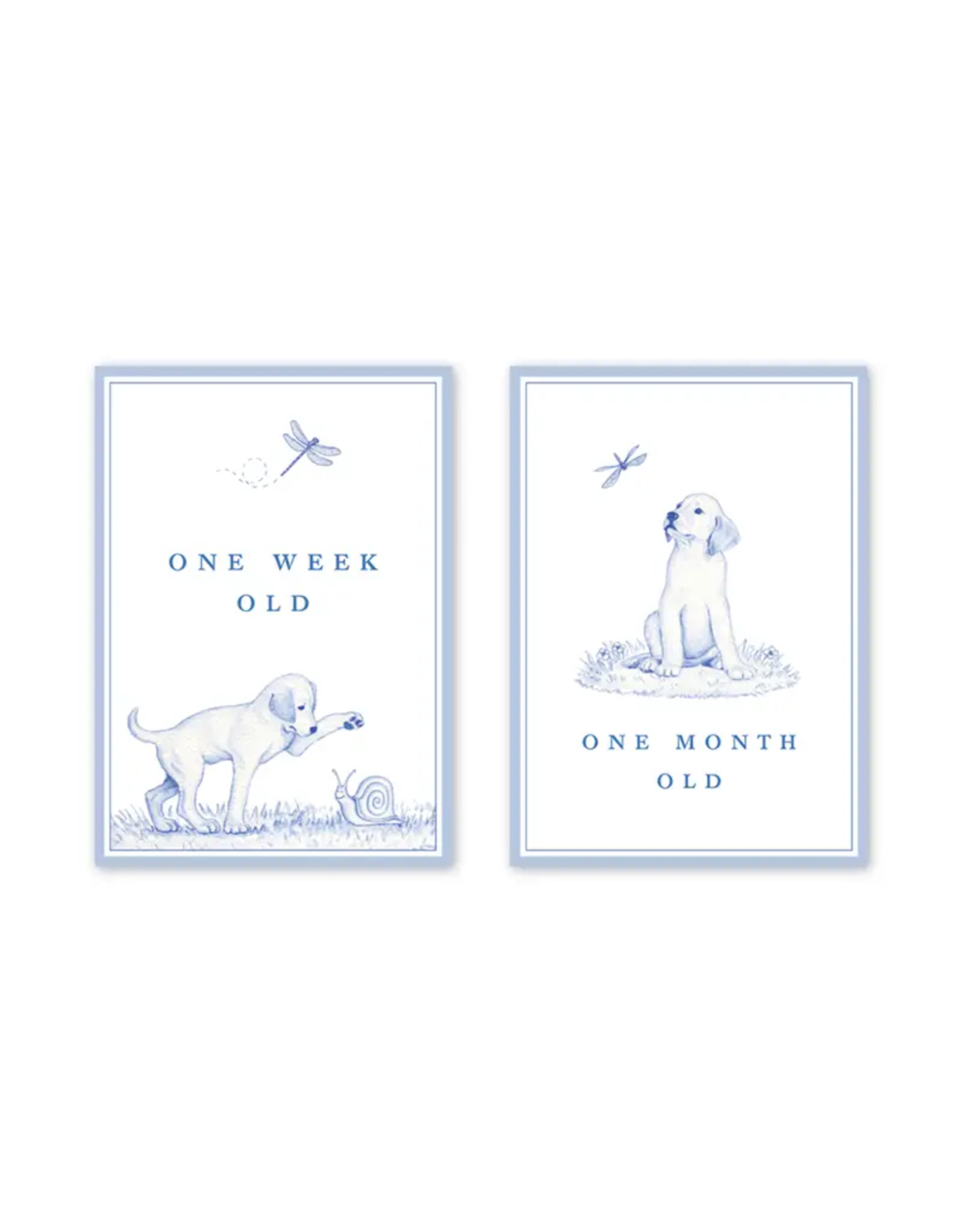 Dogwood Hill Snips and Snails Milestone Cards