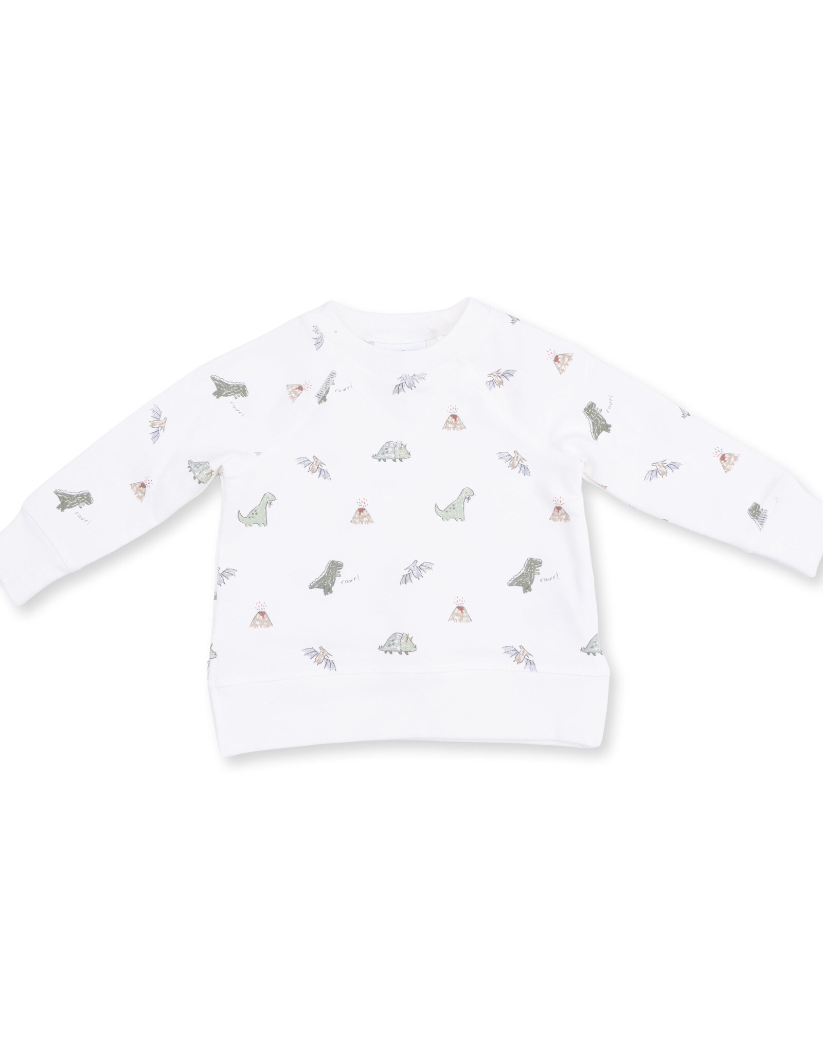 Angel Dear Dinos French Terry - Raglan Sweatshirt