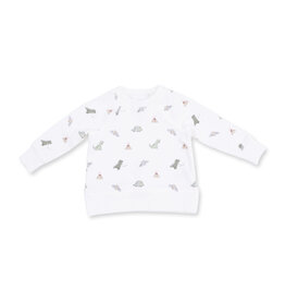 Angel Dear Dinos French Terry - Raglan Sweatshirt
