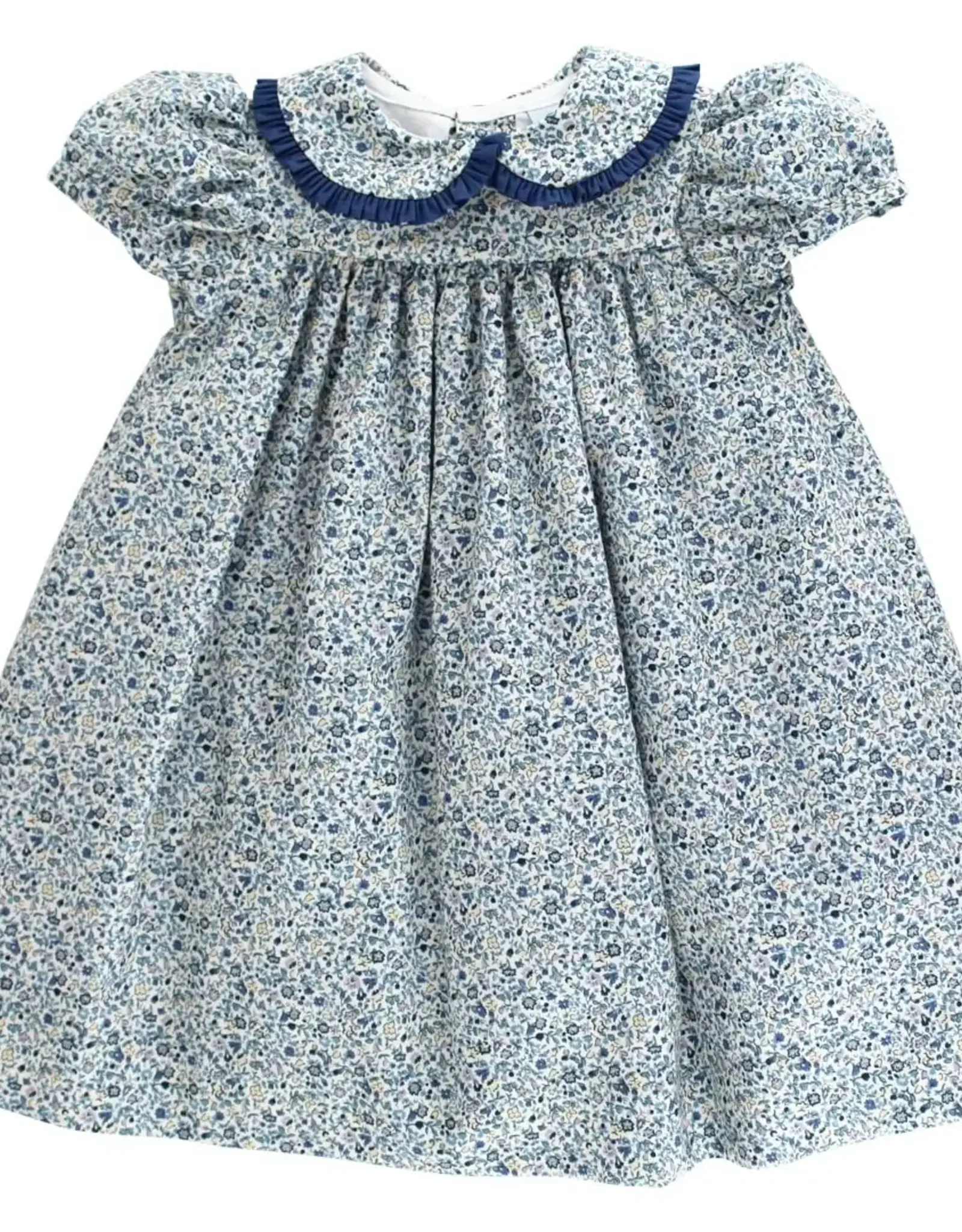 The Bailey Boys Posh Posies w Cornflower, Float  Dress