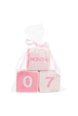 The Beaufort Bonnet Company Blaylock Blocks Hamptons Hot Pink
