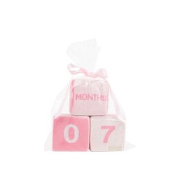 The Beaufort Bonnet Company Blaylock Blocks Hamptons Hot Pink