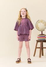 Pink Chicken Jaipur Top, Pink Blue Check