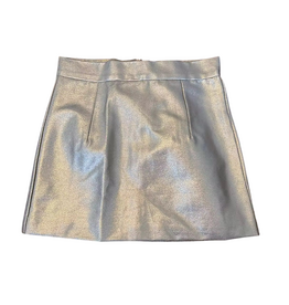 Tweenstyle Gold Zip Back Mini Skirt