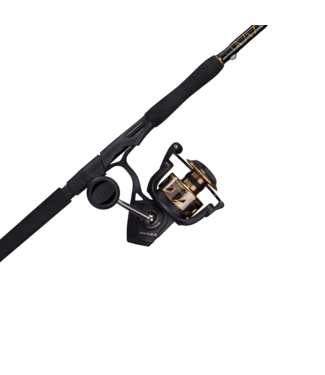 PENN BATTLE III COMBO - Custom Rod and Reel