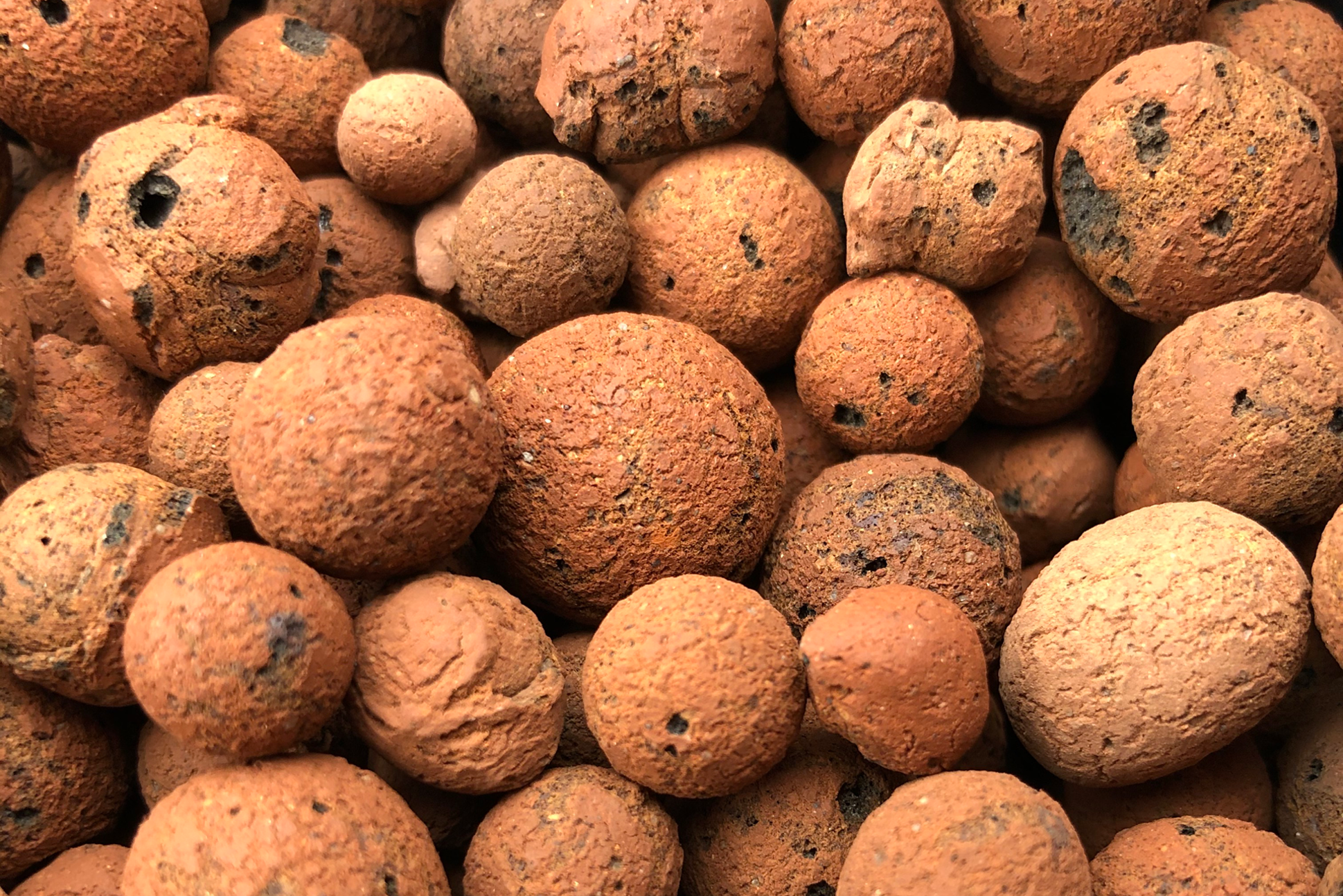 How To Sterilize and Reuse Clay Pebbles YearRound Garden Grower's