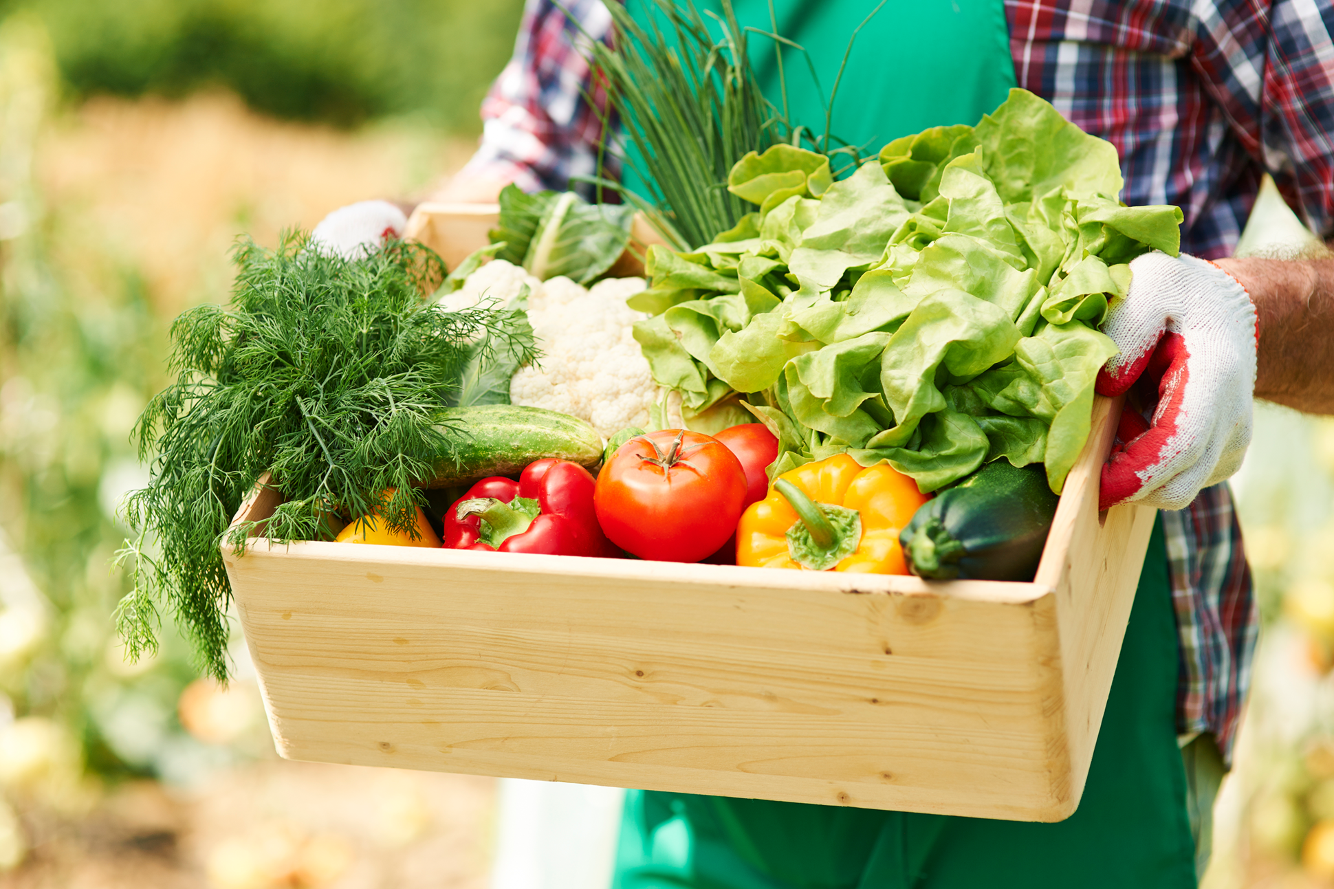 6 Items To Start Growing Your Own Food Year Round Garden Growers Supply Center